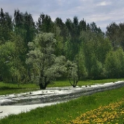 Stříbrné ráno