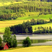 Domek u jezera