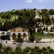 Křesťanský Jeruzalém - Olivetská hora