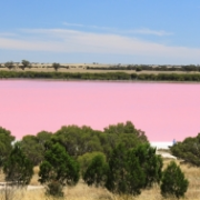 Růžové jezero, Austrálie