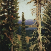 Les na hoře Milost. Střední Ural (90. léta 19. století)