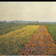 Žluté pole v Gennevilliers