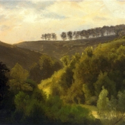 Východ slunce nad lesy