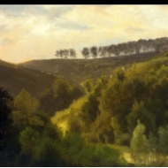 Východ slunce nad lesy