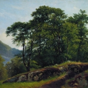 Bukový les ve Švýcarsku (1863)