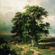 Duby (1865)