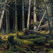 Polom (1888)