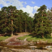Borový les (1895)