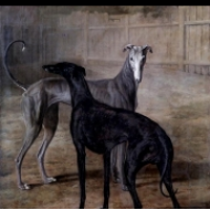 Rolla a Porsche (1805)