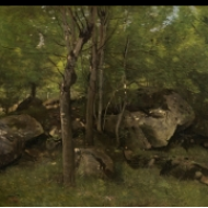 Skály v barbizonském lese