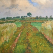 Cesta v polích