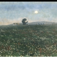 Na louce při měsíčku