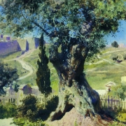 Oliva v getsemanské zahradě