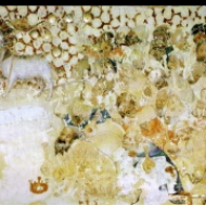 Klanění čtyřiadvaceti starců (1357)