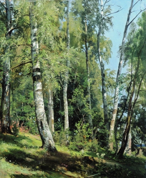 Březový lesík (1896)