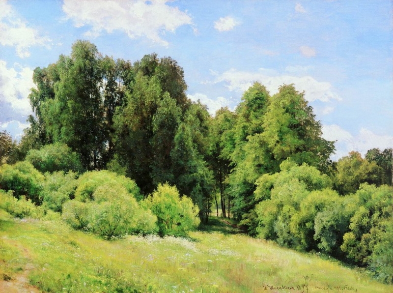Lesní paseka (1897)