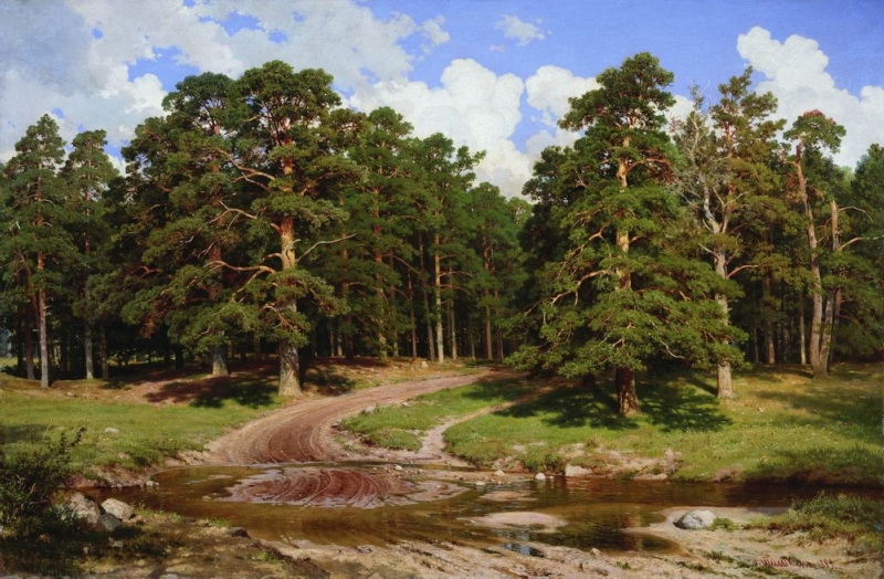 Borový les (1895)