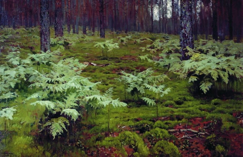 Kapradí v lese (1895)