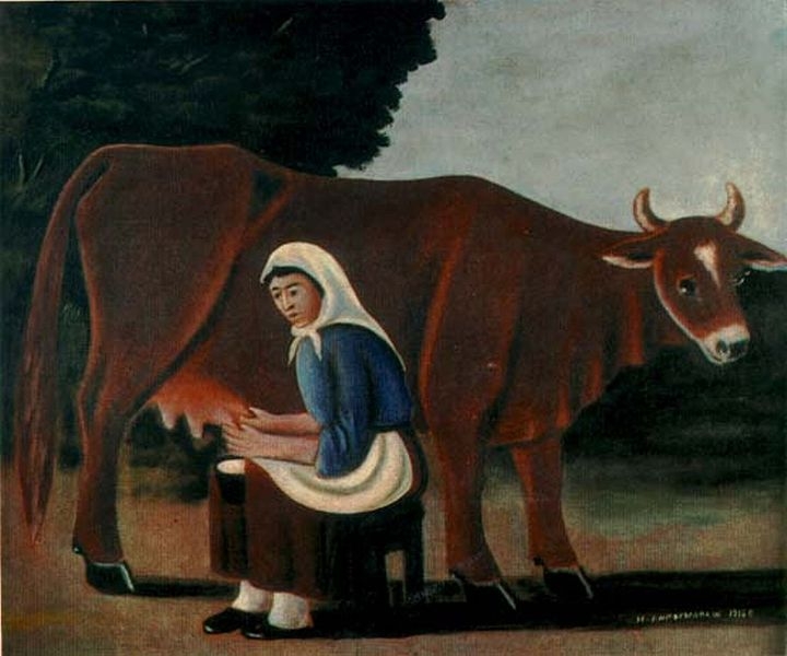 Žena dojící krávu