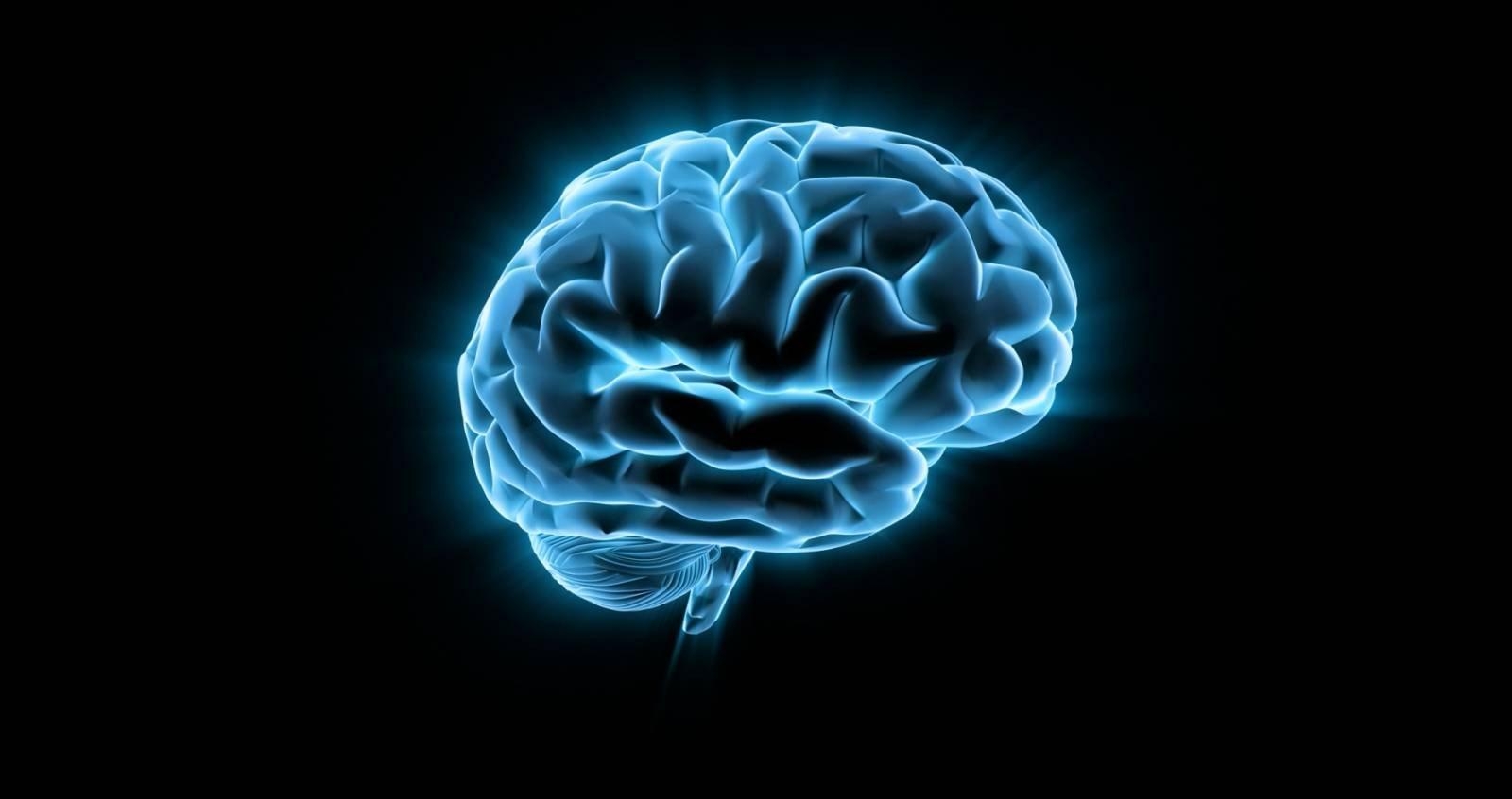Lidsky mozek